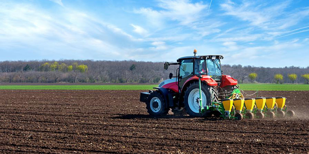 آمادهسازی اصولی زمین پیش از کاشت آمادهسازی اصولی زمین پیش از کاشت