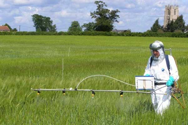 راهکارهای طبیعی برای کنترل بیماریهای گیاهی راهکارهای طبیعی برای کنترل بیماریهای گیاهی